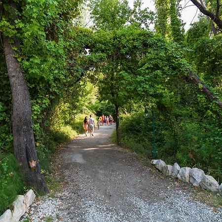 Lykia Botanika Fun & Club 4* Fethiye